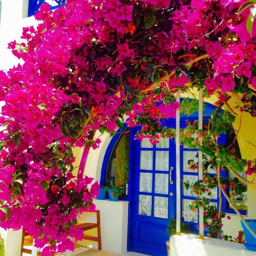 Πανσιόν Maistrali
